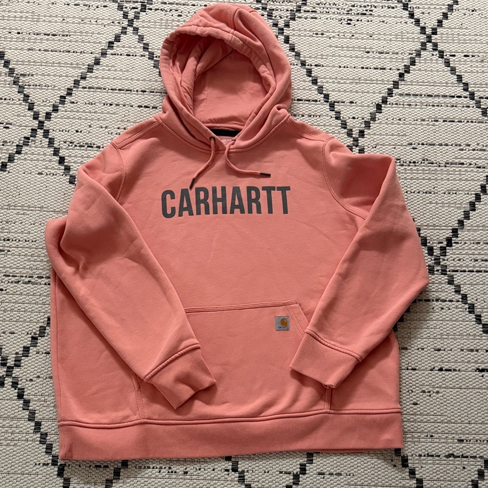 Carhartt Men's Coral Hoodie Sweater